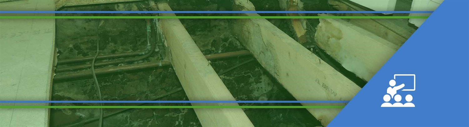 Timber preservation CPD videos - Property Care Association